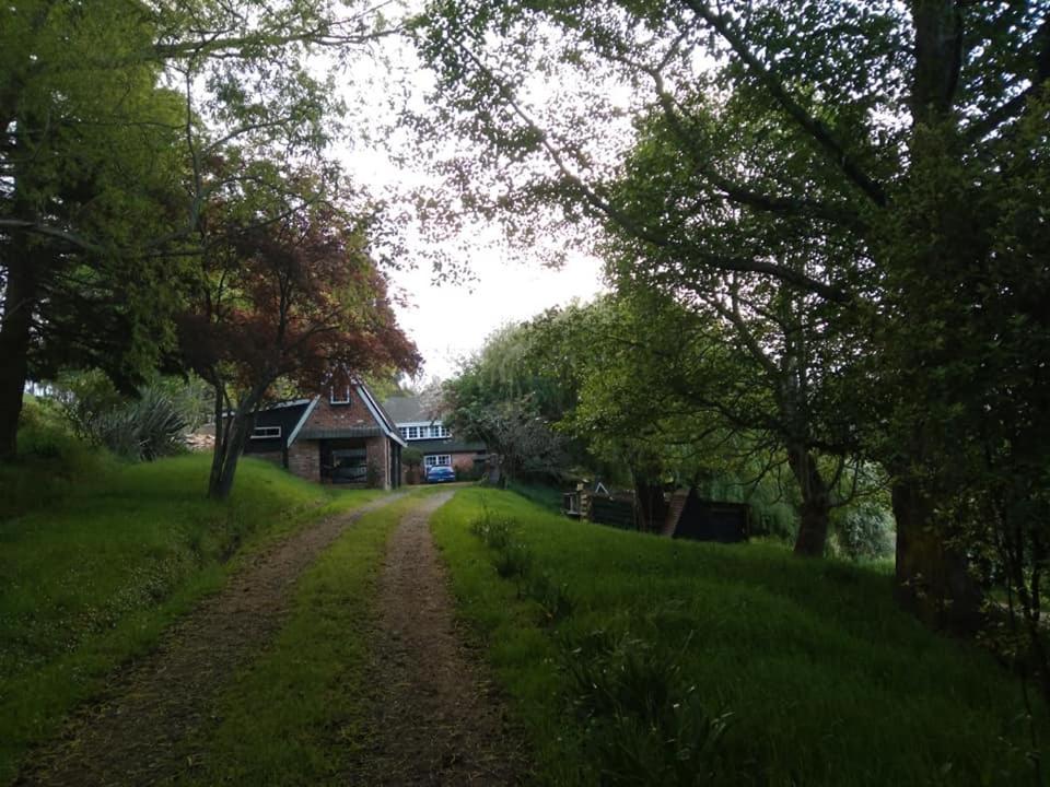 Arden Country House Bnb Dunedin Exterior photo