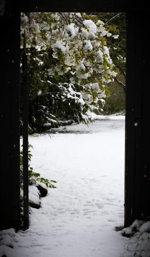 Arden Country House Bnb Dunedin Exterior photo